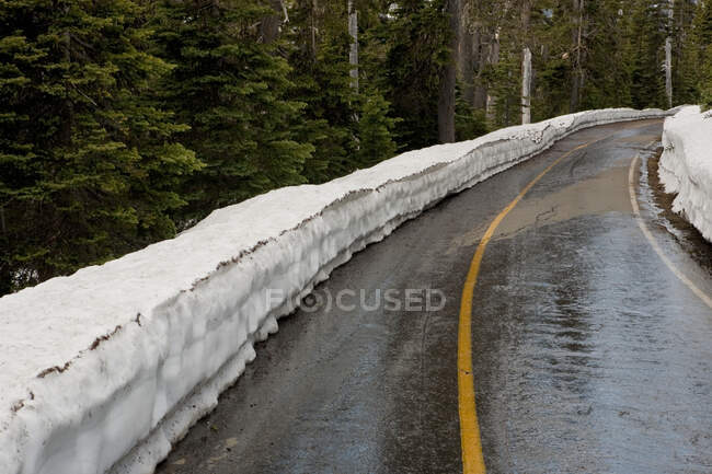 Nieve acumulados por carretera rural, Parque Nacional Olímpico - foto de stock