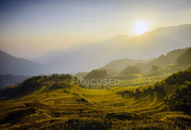 Reisfeld und Sonne in ländlicher Berglandschaft — Stockfoto