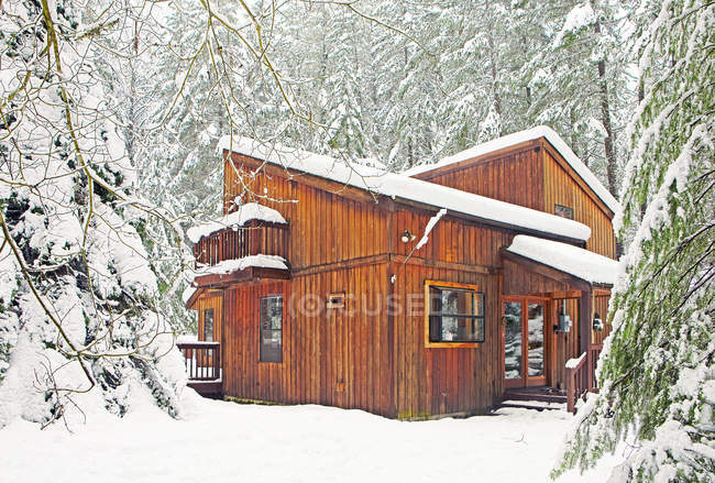 Cabana de madeira moderna em floresta nevada com árvores cobertas de neve — Fotografia de Stock
