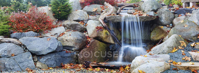 Осенние листья вокруг водопада — стоковое фото