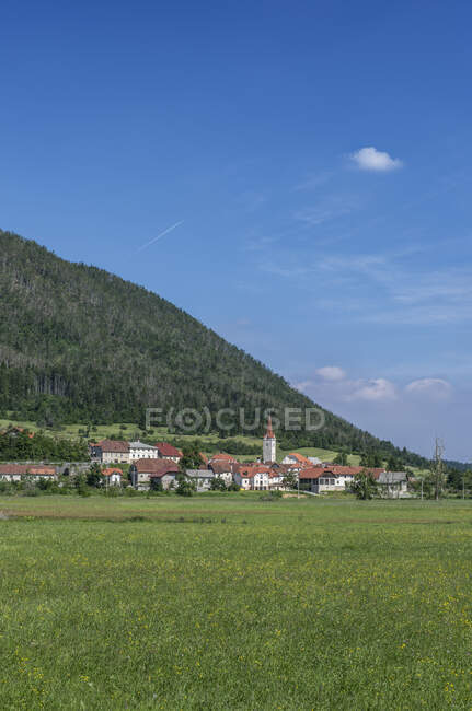 Grass meadow fuera del pueblo rural, Karst, Carniola, Eslovenia - foto de stock