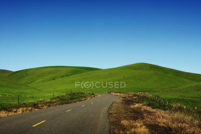 Rural road through rolling green hills, California, USA — Stock Photo