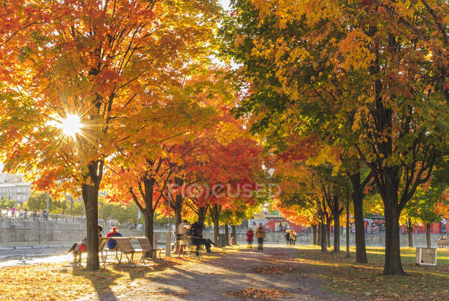 Personas en el parque en otoño - foto de stock