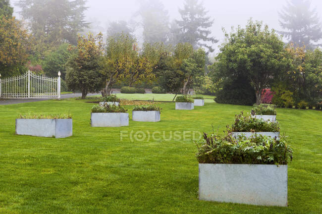Raised beds in landscaped garden — Stock Photo