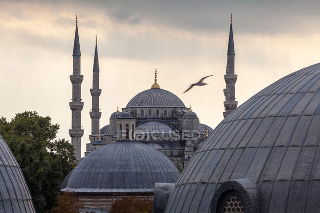 Cúpulas y torres de la Mezquita Azul, Estambul, Turquía - foto de stock
