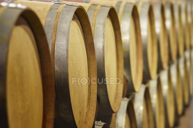 Cierre de barriles de vino en bodega - foto de stock