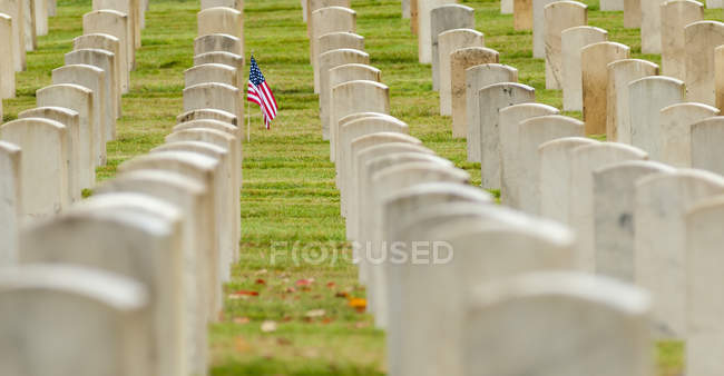 Bandiera americana piantata nel cimitero dei veterani, Seattle, Washington, USA — Foto stock