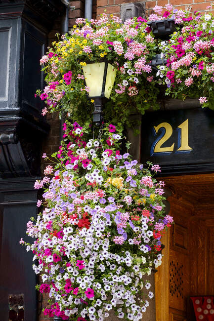 Blumen hängen an Hausnummer 21 im Freien — Stockfoto