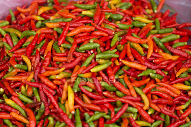 Close-up of pile of red, yellow and green chili peppers — Stock Photo