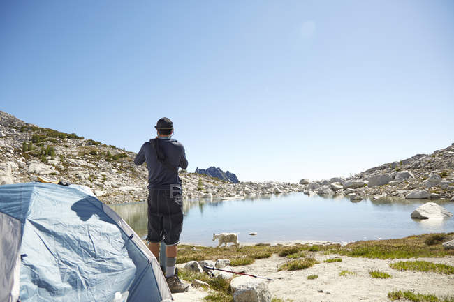 Mann steht im Zelt auf Campingplatz am See und beobachtet weidende Bergziegen — Stockfoto