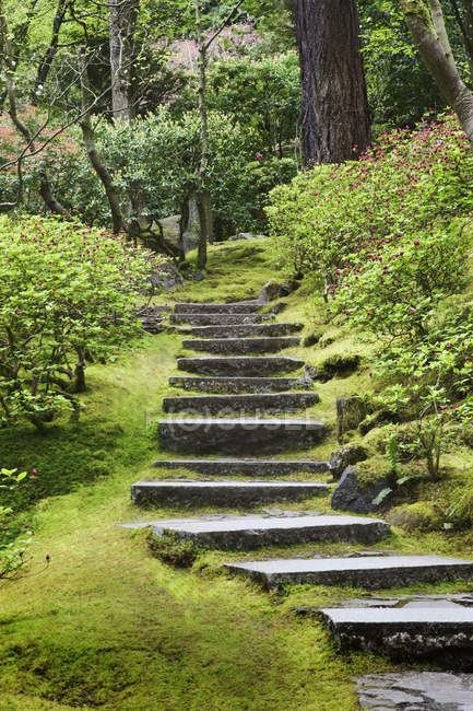 Steinstufen im japanischen Garten, Portland, Oregon, Vereinigte Staaten — Stockfoto
