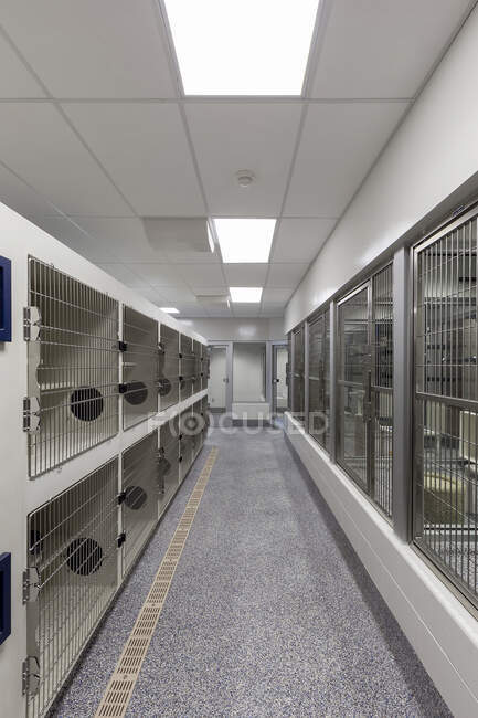 Portas metálicas de gaiolas vazias em abrigo de animais vazio — Fotografia de Stock