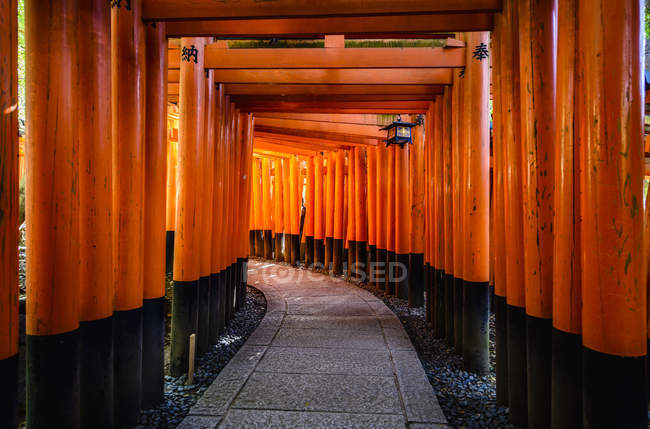 Passarela sob pilares de madeira laranja no templo Fushimi Inari, Japão — Fotografia de Stock