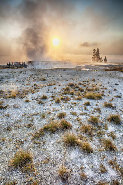 Dampf steigt bei Sonnenaufgang aus dem Geysir auf, Yellowstone Nationalpark, Wyoming, Vereinigte Staaten — Stockfoto