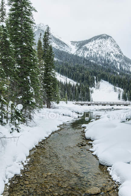 Riacho rochoso na paisagem rural nevada — Fotografia de Stock