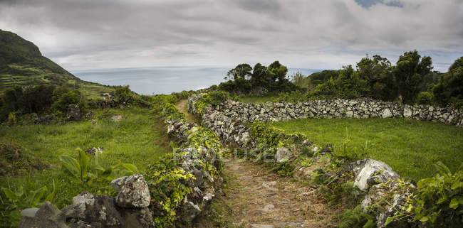 Chemin de terre avec des pierres à travers le champ rural dans les paysagesdie — Photo de stock