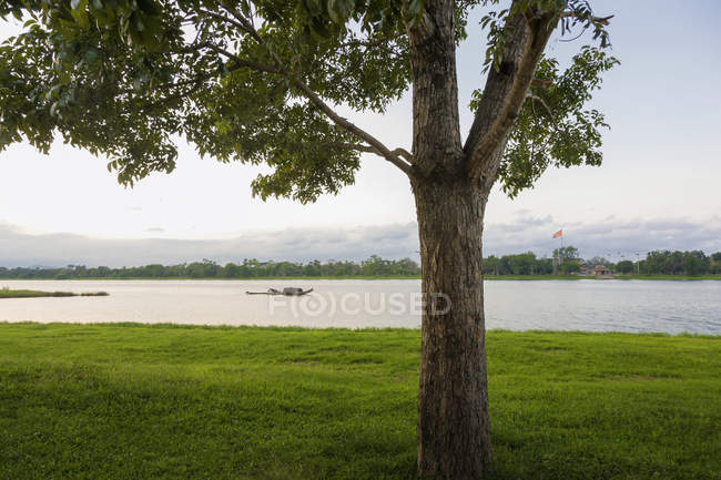 Árvore e rio com barco na água — Fotografia de Stock