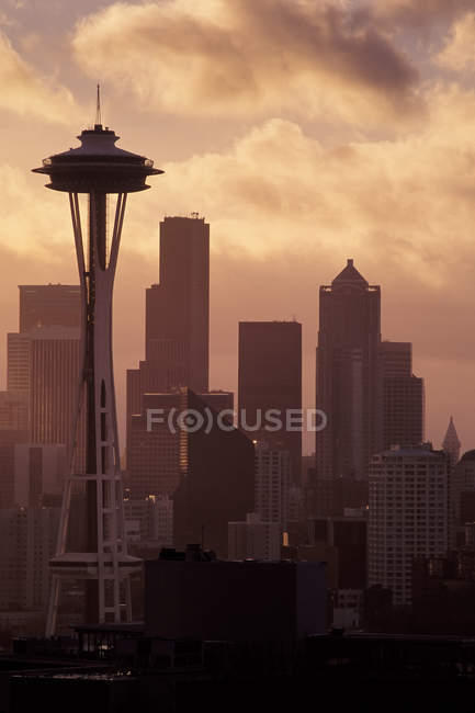 Space Needle and high rise buildings in Seattle city skyline, Washington, United States — Stock Photo