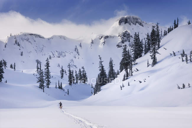 Silhouette eines Mannes beim Wandern in schneebedeckten Bergen mit Blick auf Heidewiesen, Washington, Vereinigte Staaten — Stockfoto
