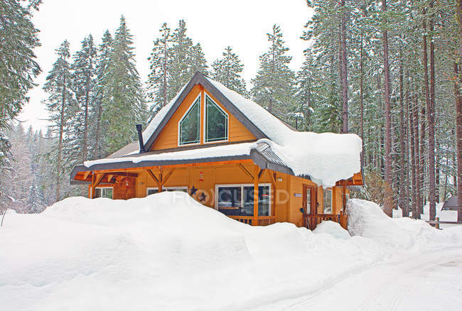 Cabana de madeira moderna em floresta nevada com árvores cobertas de neve — Fotografia de Stock