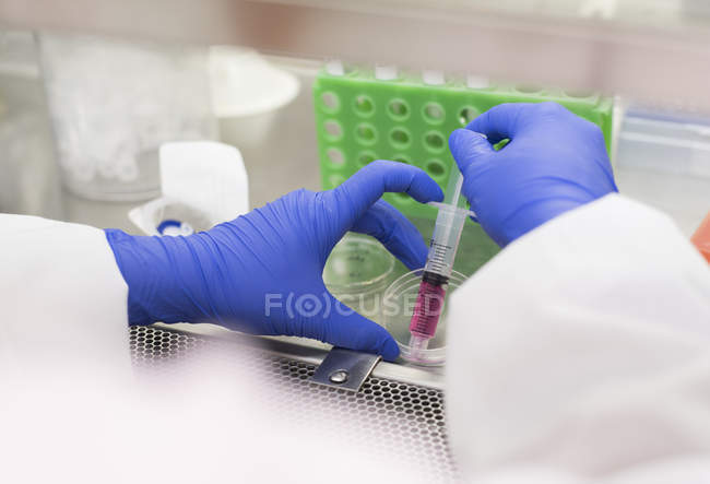 Hands of scientist using syringe and petri dish — Stock Photo