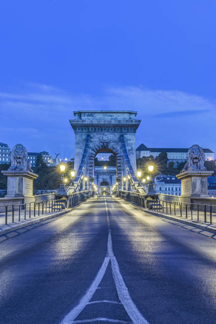 Львиные статуи и фонари вдоль Цепного моста, Будапешт, Венгрия — стоковое фото