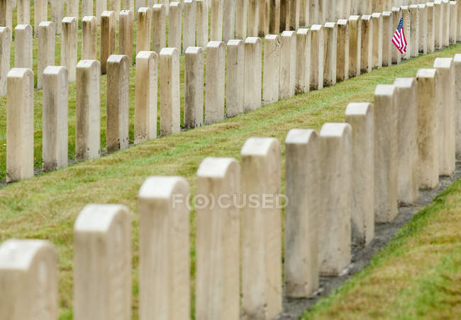 Drapeau américain planté dans un cimetière vétéran, Seattle, Washington, USA — Photo de stock