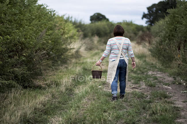 Rückansicht einer Frau, die ländlich unterwegs ist und einen braunen Weidenkorb trägt. — Stockfoto