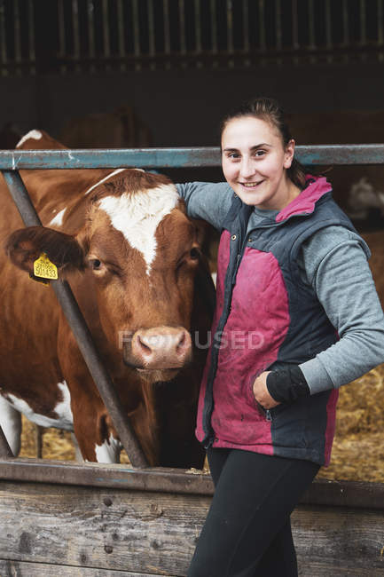 Jeune femme debout à côté de la vache Guernesey dans une ferme . — Photo de stock