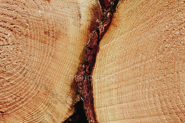 Древесина пиломатериалов вырезает древесину с рисунком древесного зерна . — стоковое фото