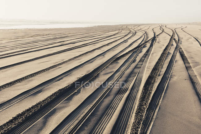 Traces de pneus sur la surface molle de sable sur la plage . — Photo de stock
