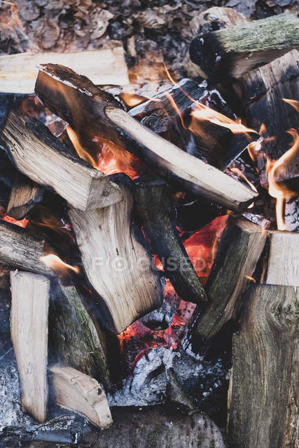 Primer plano de la quema de troncos de madera de fogata en el bosque
. - foto de stock