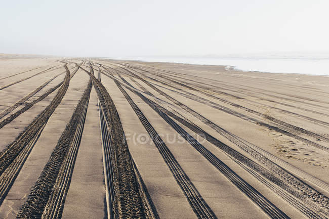 Шиномонтажні колії на м'якій поверхні піску на пляжі . — стокове фото
