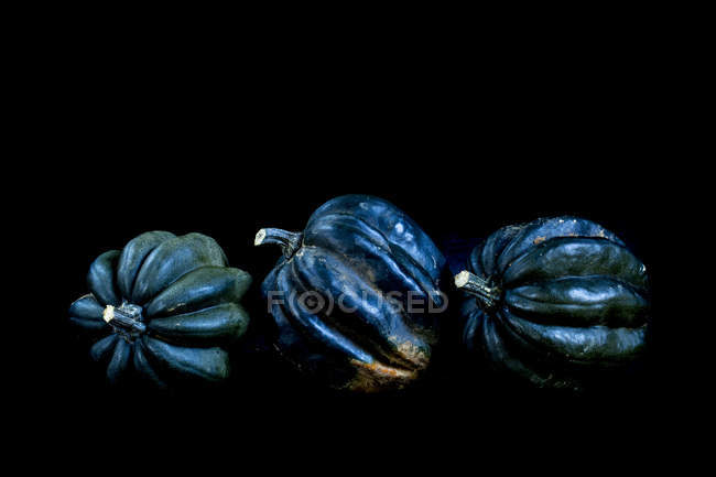 Nahaufnahme von drei dunkelblauen gerippten Kürbissen auf schwarzem Hintergrund. — Stockfoto