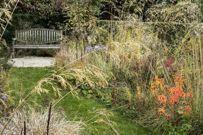 Схема посадки прерий в саду с травой и осенней листвой на границе сада в Оксфордшире, Англия — стоковое фото