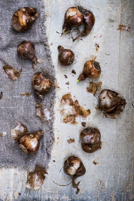 Close-up of crushed brown onions on grey background. — Stock Photo