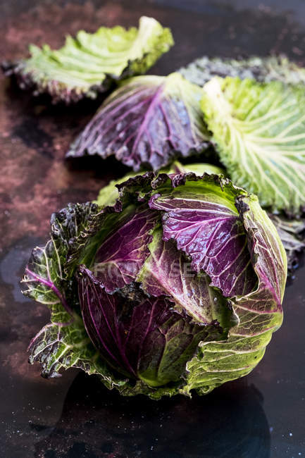 Still life of fresh round red and green savoy cabbage — Stock Photo
