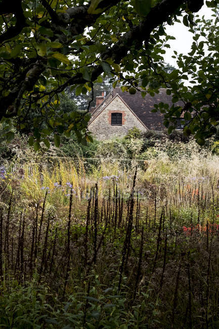 Esquema de plantación de praderas en el jardín con hierba y follaje otoñal en la frontera del jardín en Oxfordshire, Inglaterra - foto de stock