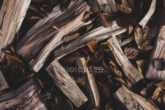 Close-up of wood logs and dried autumn leaves. — Stock Photo