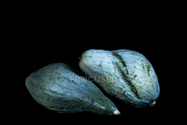 Close-up of two blue pumpkins on black background. — Stock Photo
