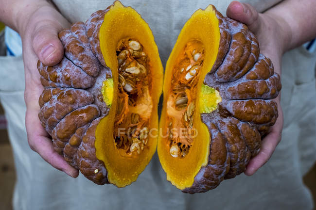 Close-up of person hands holding pumpkin with orange flesh cut in half. — Stock Photo