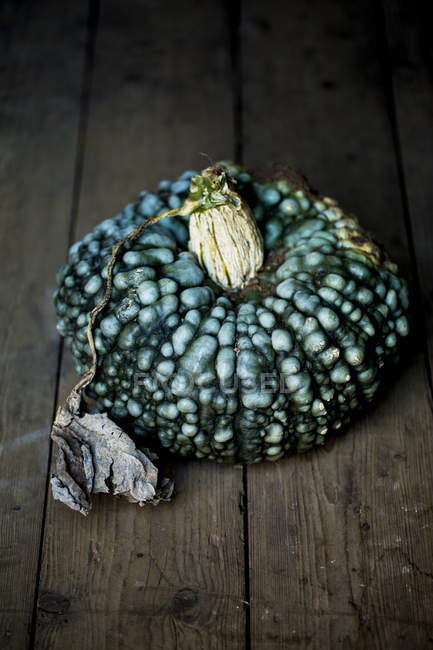 Close-up of blue knobbly pumpkin on rustic wooden table. — Stock Photo