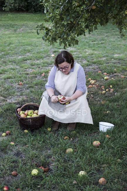 Frau sitzt im Obstgarten unter Apfelbaum neben braunem Weidenkorb mit frisch gepflückten Äpfeln und schält Apfel. — Stockfoto
