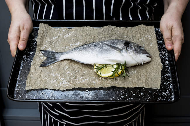 Midsection of person holding baking tray with fresh sea bream and slices of lemon and rosemary sprigs. — Stock Photo