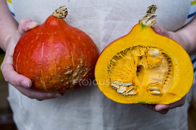 Close-up of person hands holding pumpkin with orange flesh cut in half. — Stock Photo