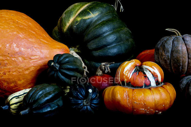 Close-up of variety of freshly harvested pumpkins on black background. — Stock Photo