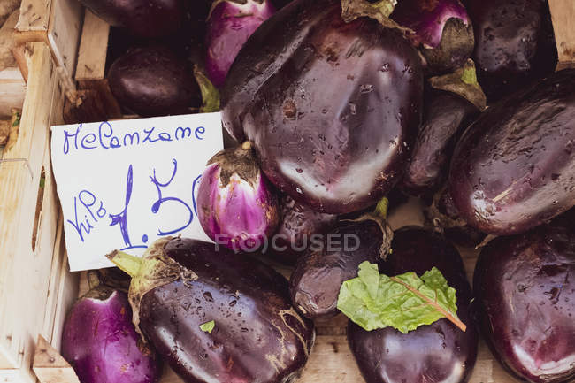 High angle close-up of fresh purple aubergines at Italian market stall. — Stock Photo