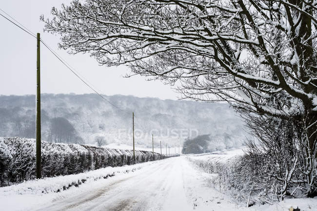 Зимний пейзаж с сельской дорогой, покрытой снегом изгороди с деревьями на холме в расстоянии . — стоковое фото