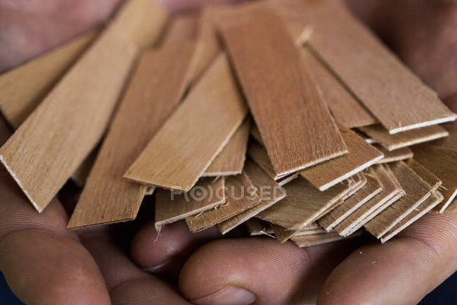 Close up of person holding bunch of wooden candle wicks. — Stock Photo