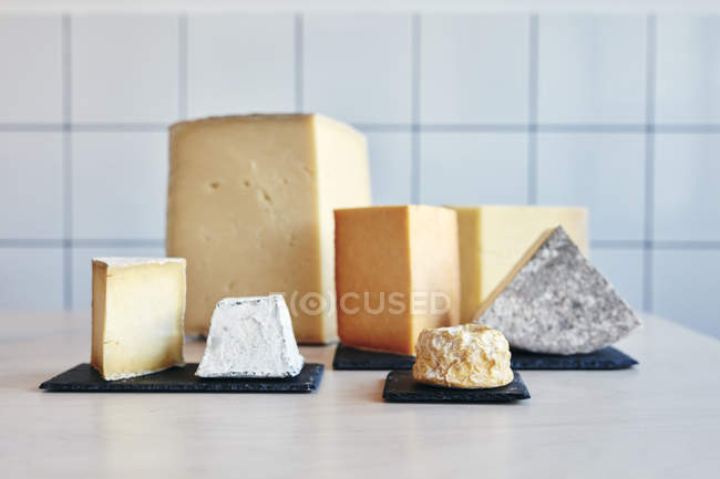 Still life of range of cheeses on table top in store — Stock Photo